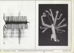 Polonca Kresal - Grafični tečaj 4. letnika