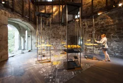 Sara Hočevar, Tjaša Jerič, Jani Petrovčič - Odkrite plasti mesta – Projekt Urbana Ljubljana