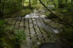 Melissa Coton, Nejc Fajfar, Ahmed Fetahu, Lucie Goumain, Ema Hribar, Maxime Mahe, Vita Osterman, Anja Žerjal, Kaja Žgajnar - A tangible encounter